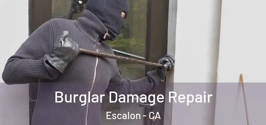 Burglar Damage Repair Escalon - CA