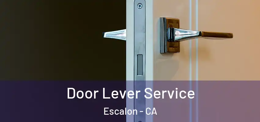  Door Lever Service Escalon - CA