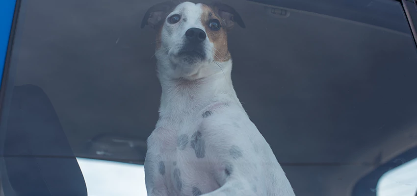 Car Lockout Solutions in Escalon, California