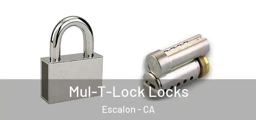  Mul-T-Lock Locks Escalon - CA