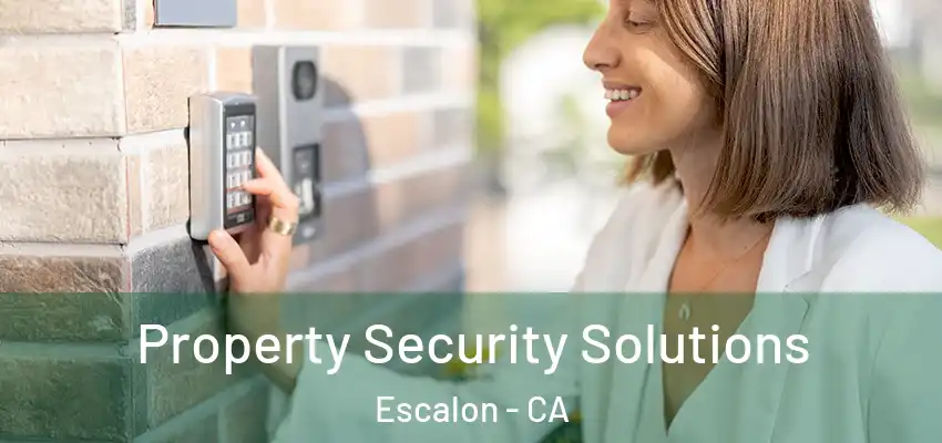  Property Security Solutions Escalon - CA