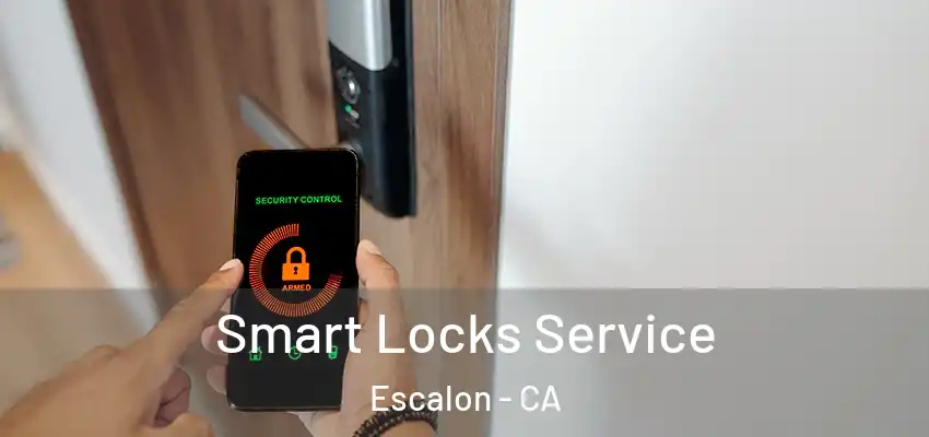Smart Locks Service Escalon - CA